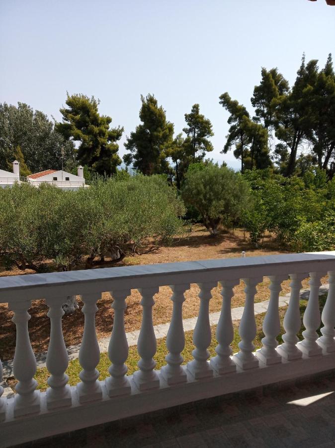 Apartment Europa Stefanos Kriopigi