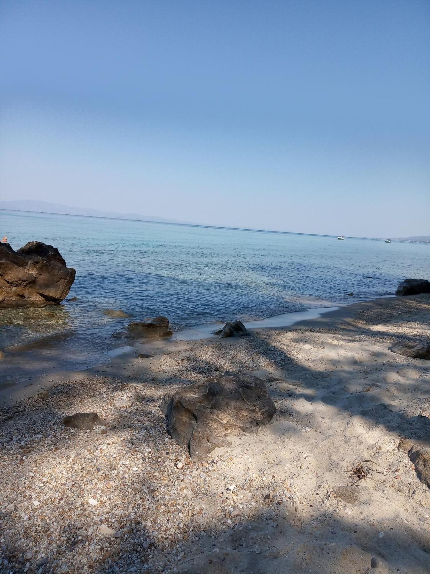 Europa Stefanos *