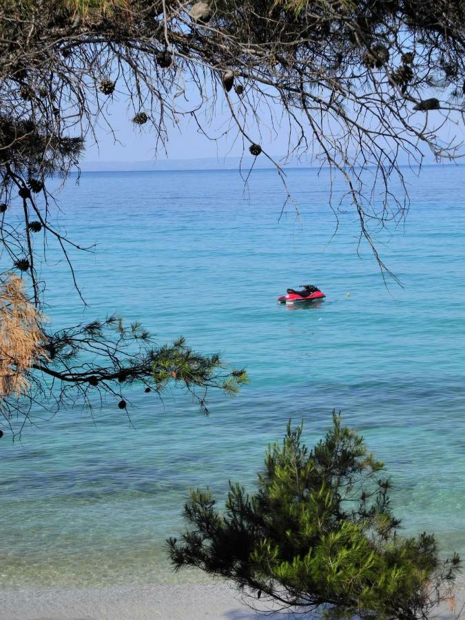 Apartament Europa Stefanos Kriopigi